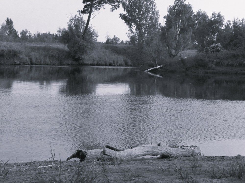 Фотография автора Анастасия Коваль