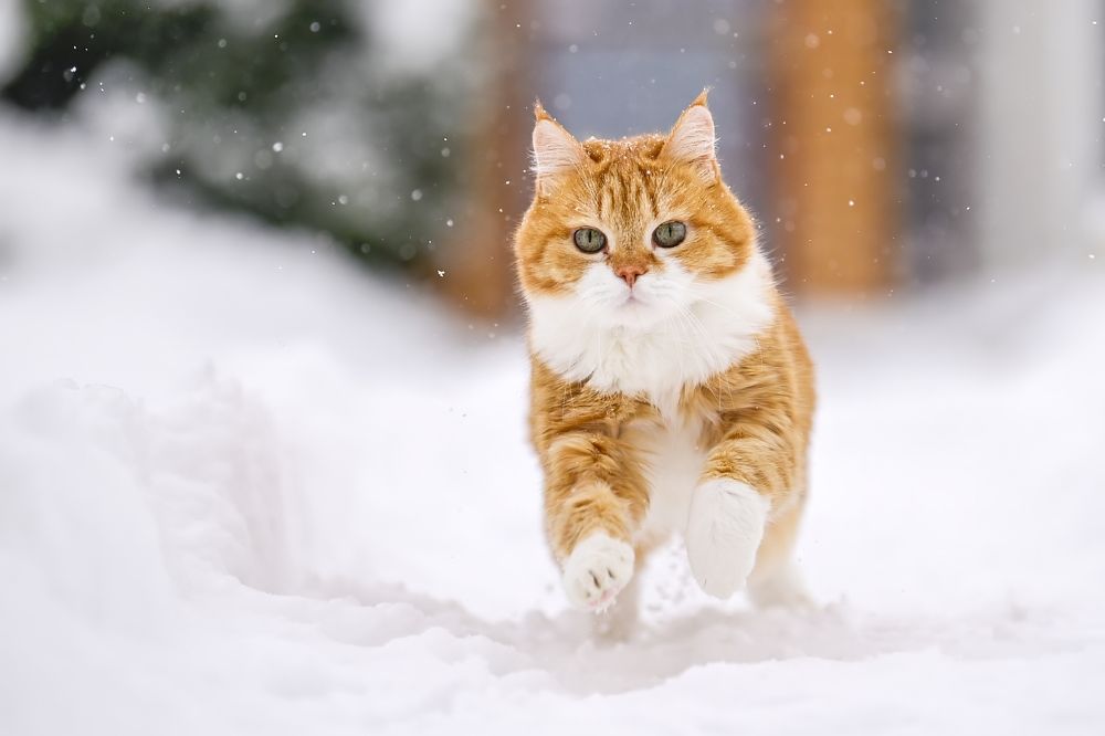 Photograph by Пупонин Сергей