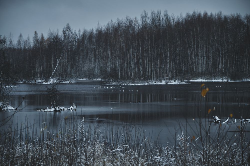 Photograph by Виктория Колышева