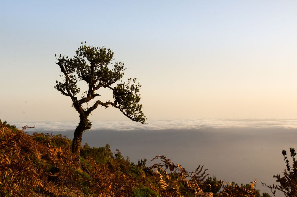 Photograph by Theo Crazzolara