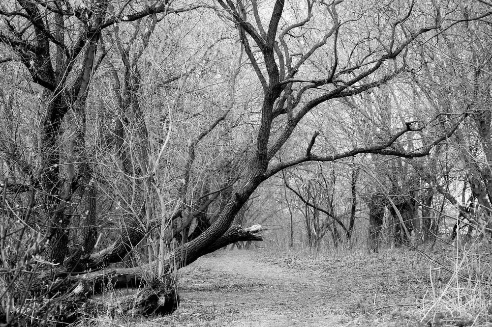 Photograph by Александр Бугаенко