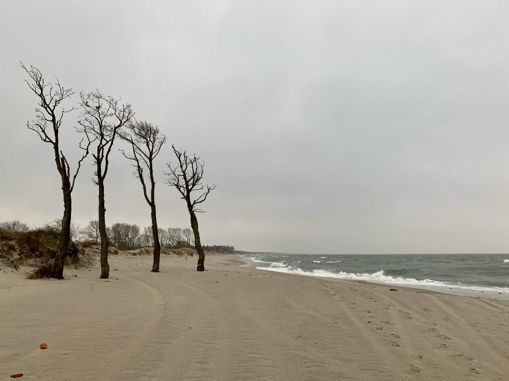 Photograph by Александра Тимошенко