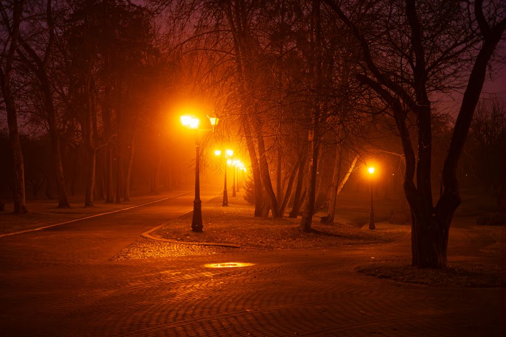 Фотография автора Вадим Копилец