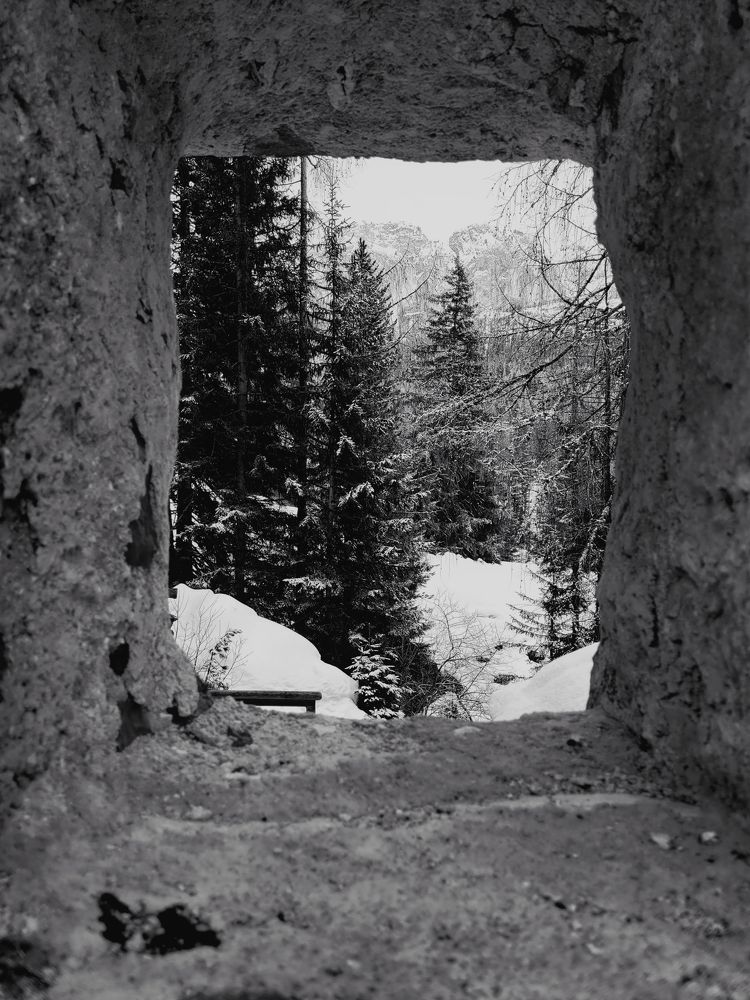 Photograph by Tatiana Aleksandrova