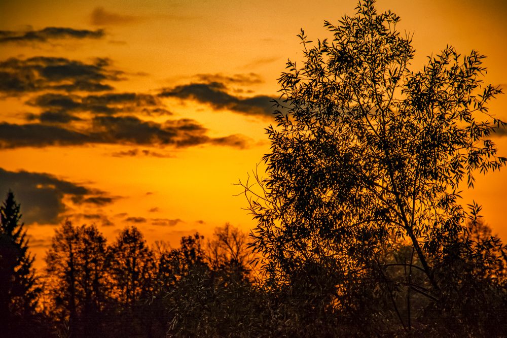 Photograph by Людмила Баймухаметова