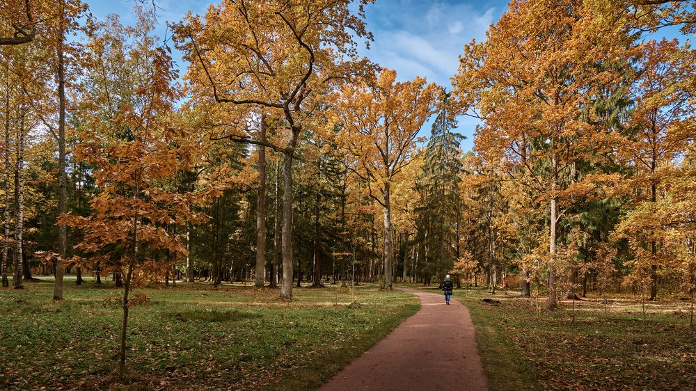 Photograph by Aleksandr Belov