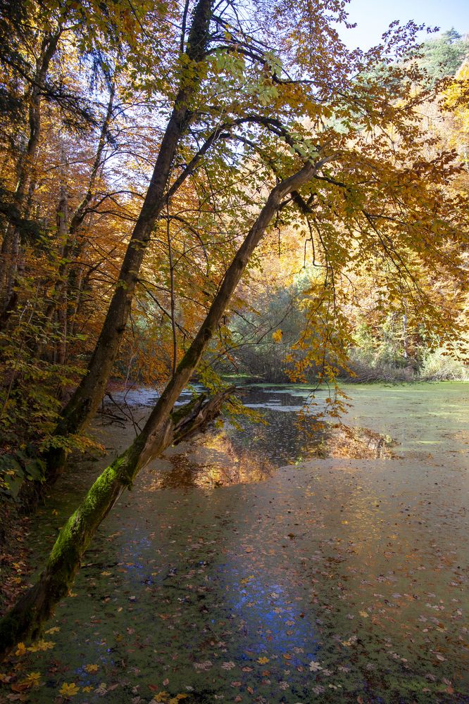 Photograph by cengiz pamuk