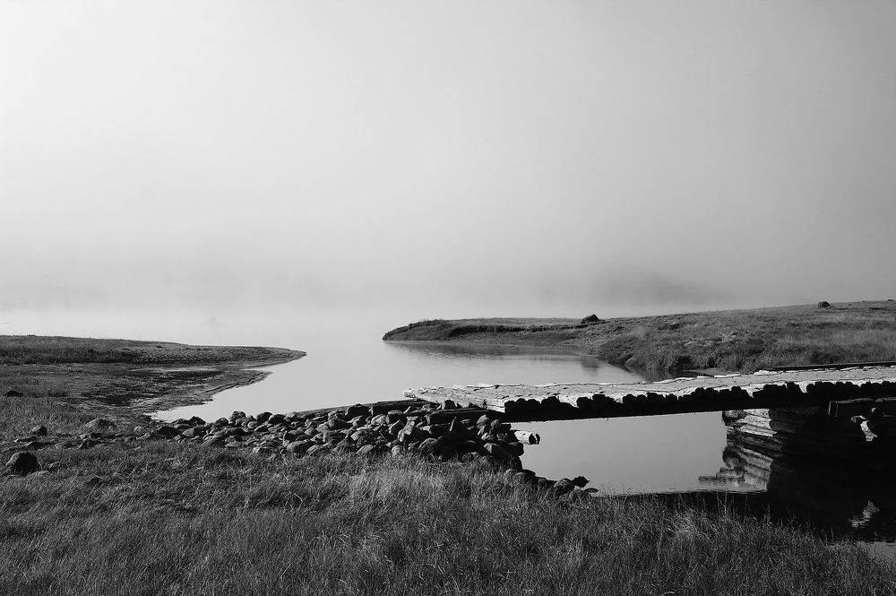 Photograph by Дмитрий Ткаченко