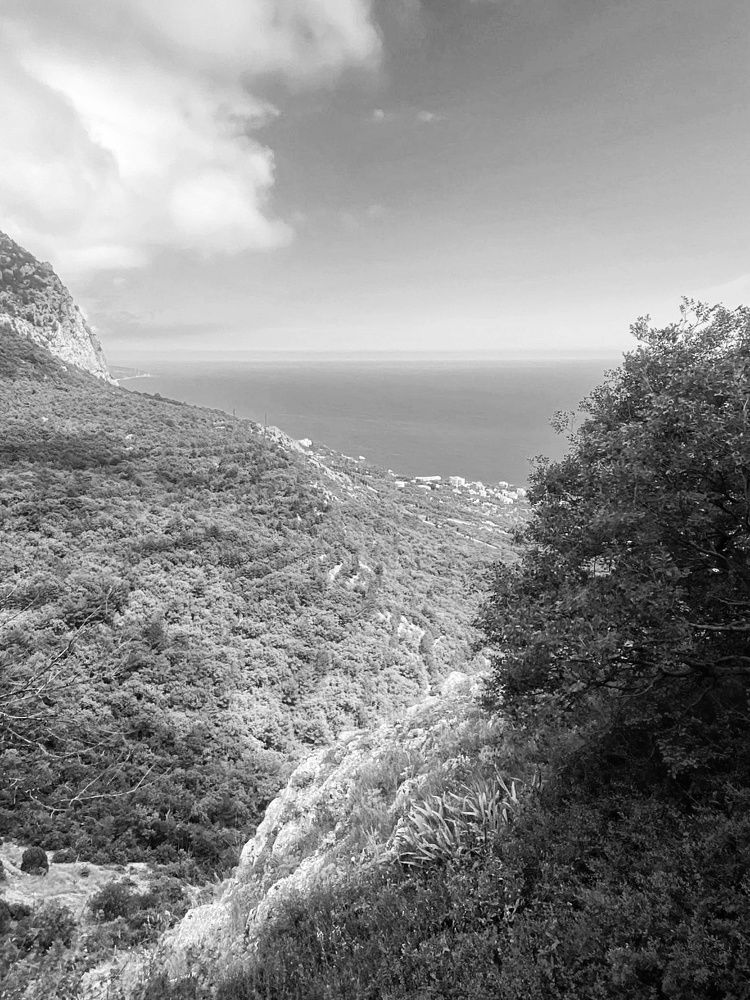 Photograph by Людмила Григорьева