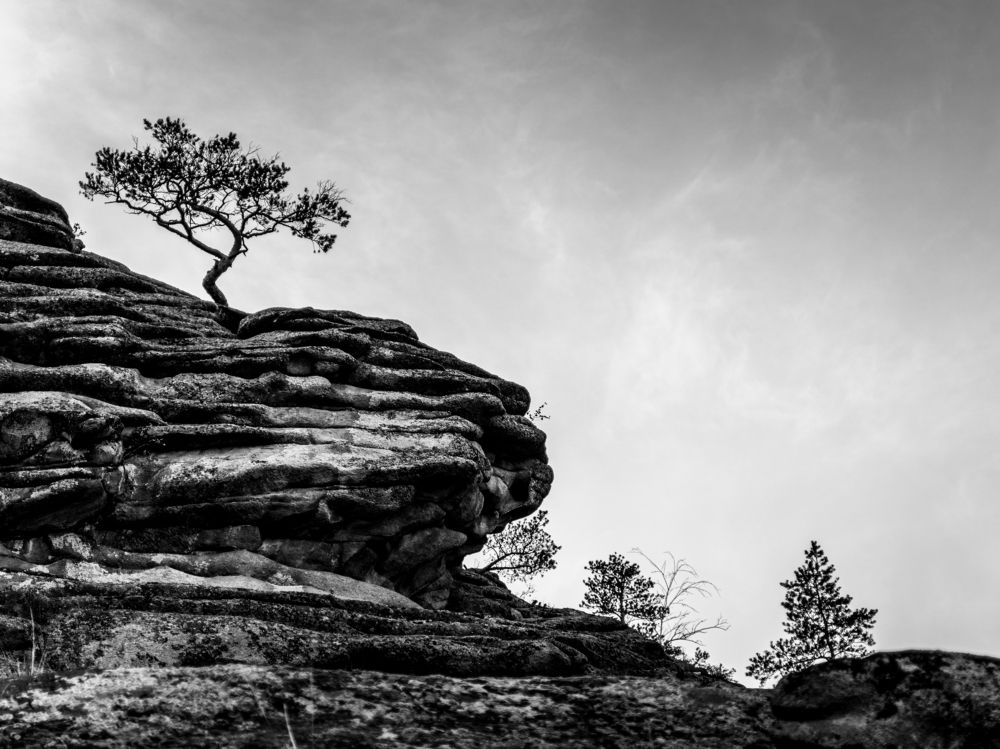 Фотография автора Юлия Есина