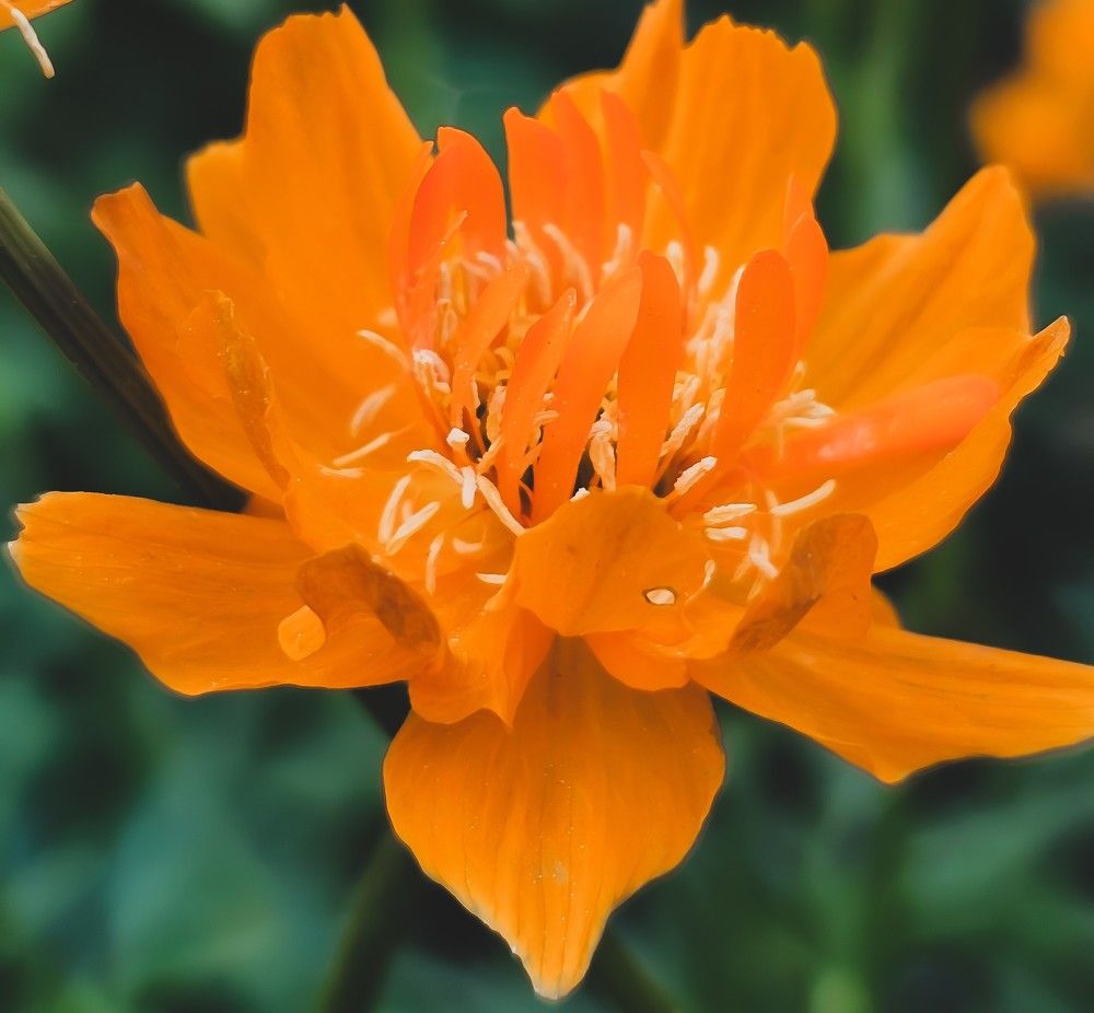 Photograph by Елена Ямнюк