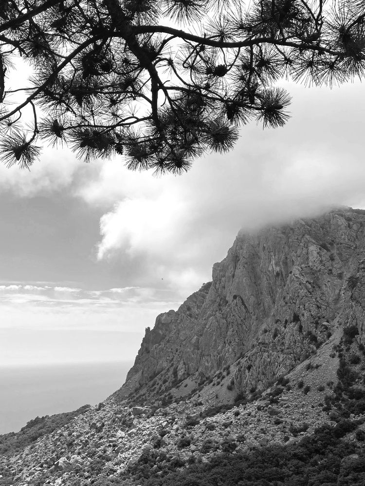 Photograph by Людмила Григорьева