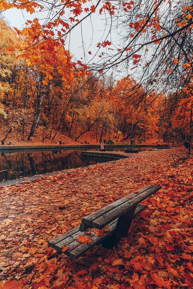 Фотография автора Rom@shkin