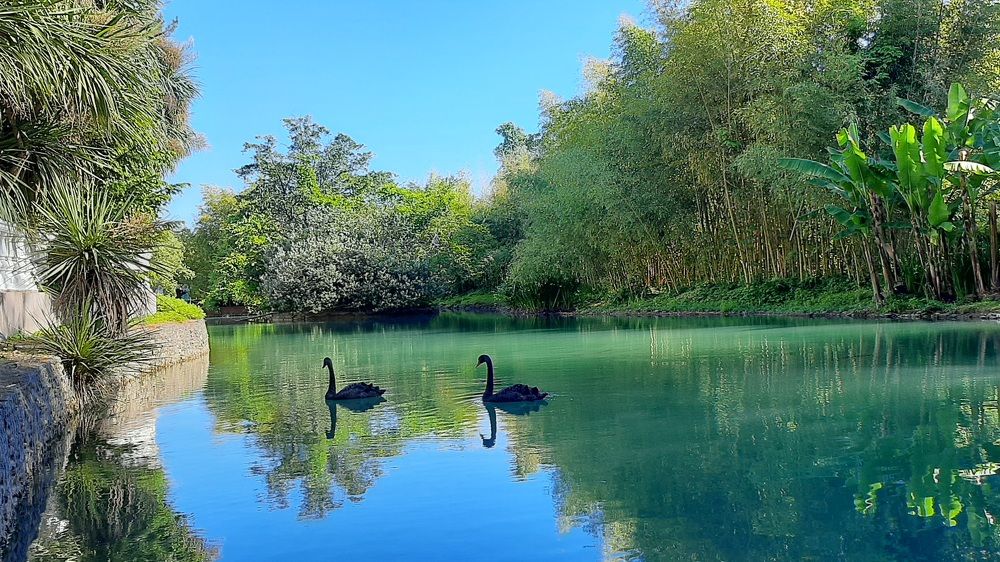 Photograph by Екатерина