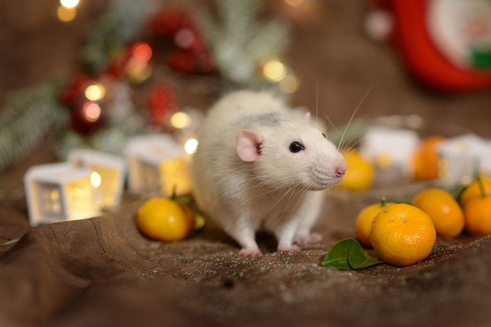 Photograph by Светлана Попова