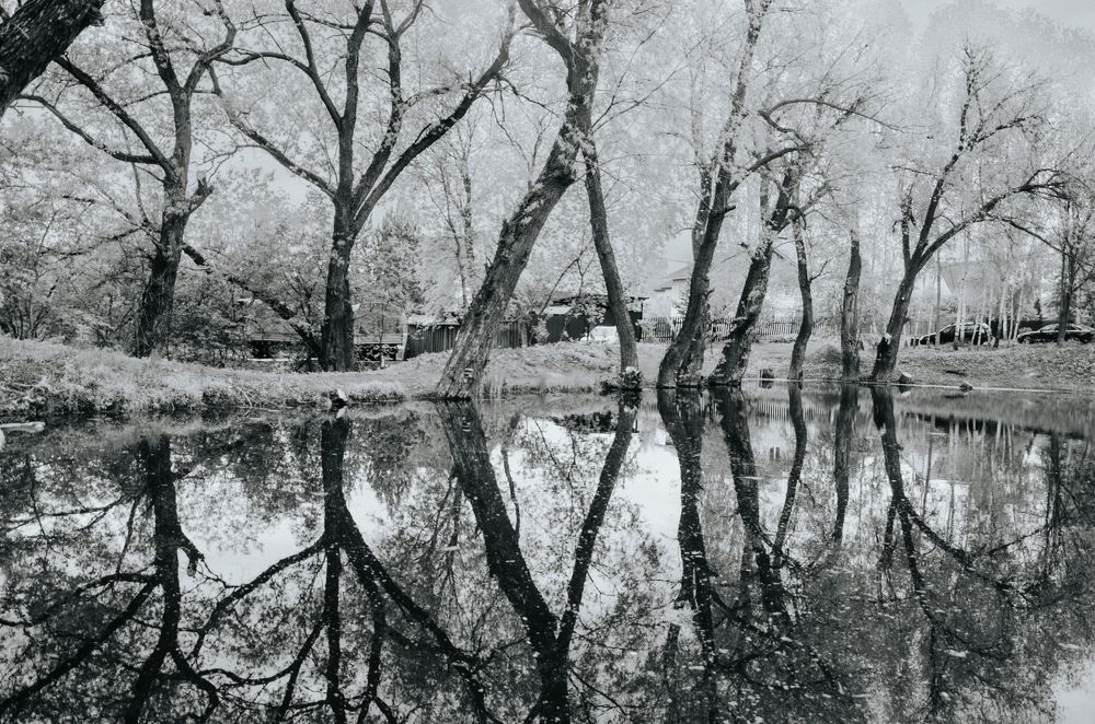 Photograph by Ольга Новикова