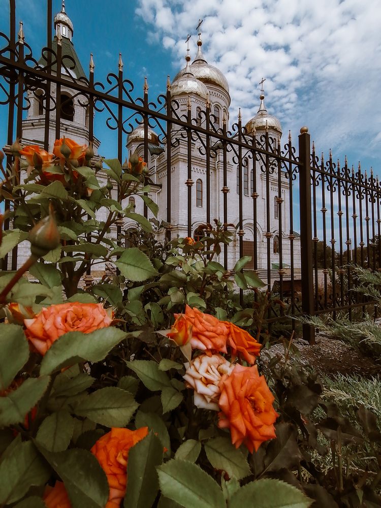 Photograph by Наталия