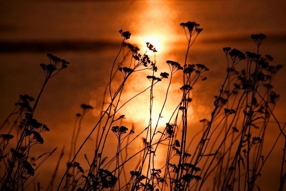 Photograph by Елена Ласун