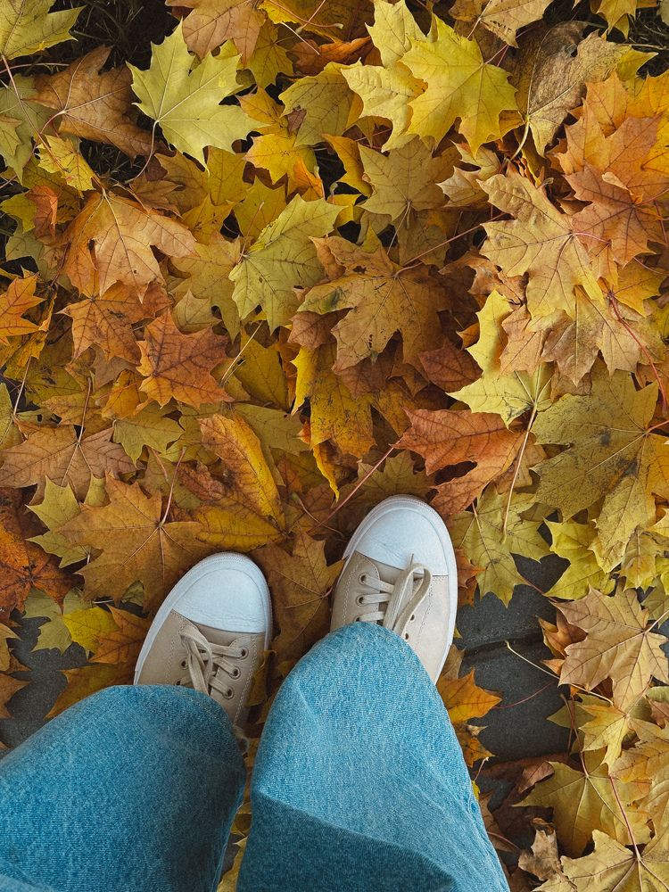 Photograph by Дина Чехова