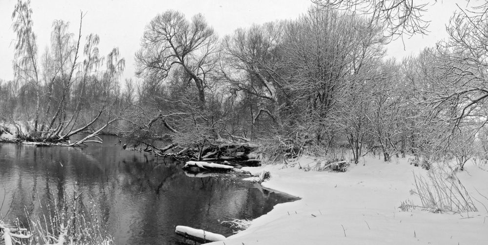 Фотография автора Антип