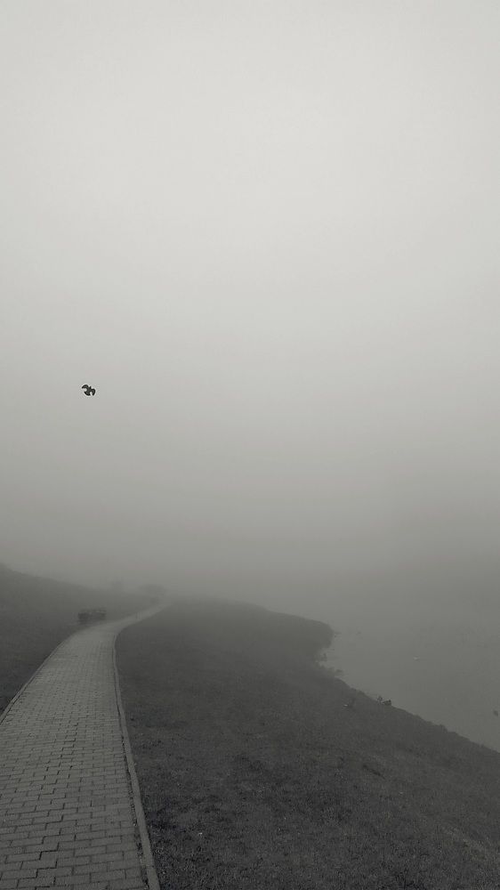 Photograph by Виктор Поздняк