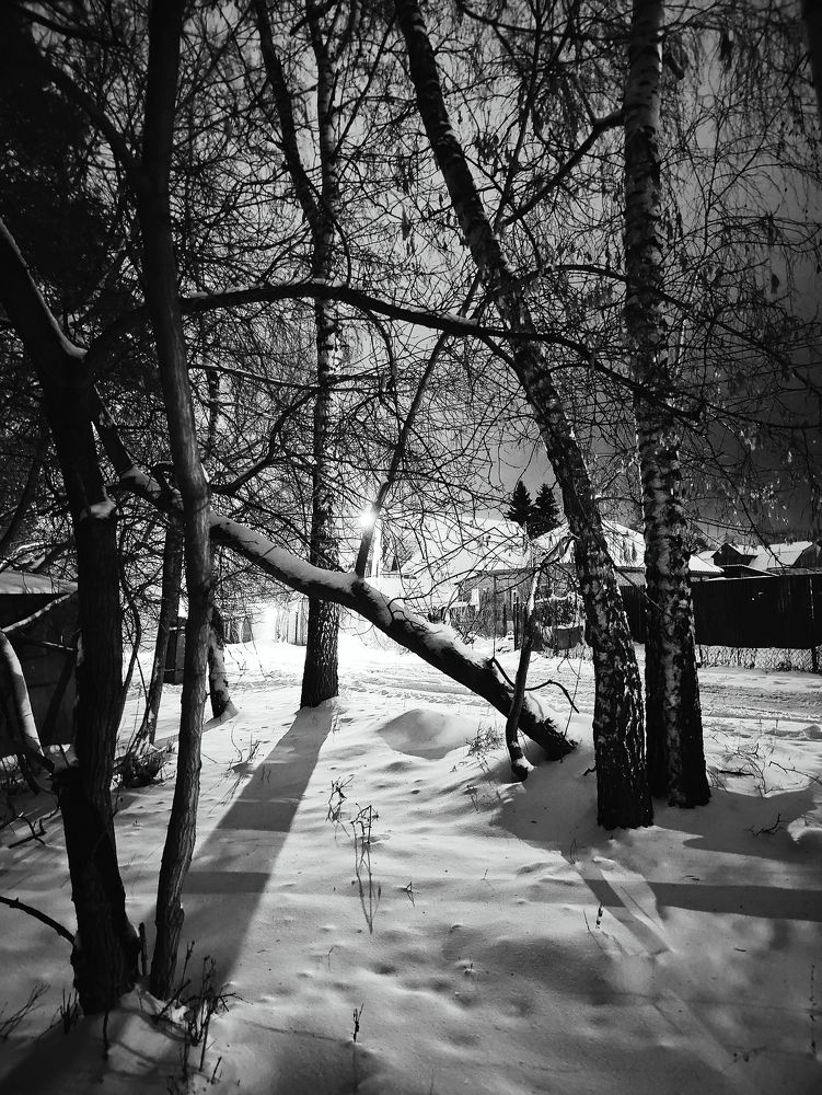 Photograph by Olena Chertous