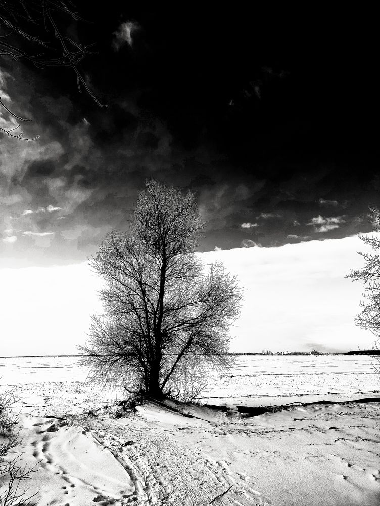 Photograph by Olena Chertous