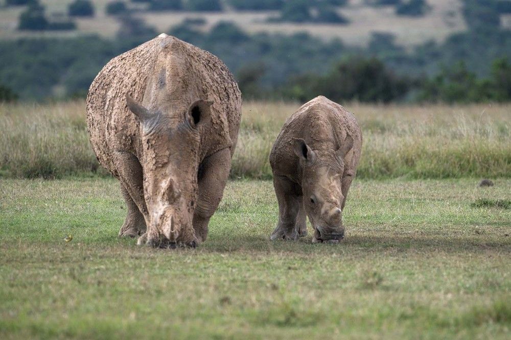 Фотография автора Bhupender Gupta