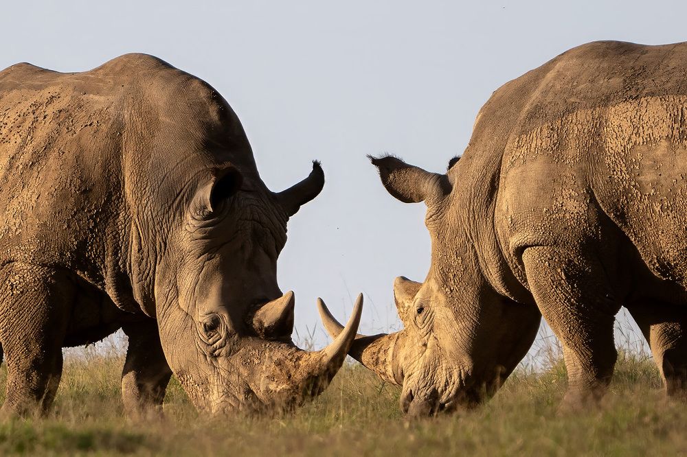 Фотография автора Bhupender Gupta