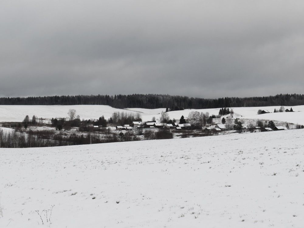 Photograph by Людмила Кононова