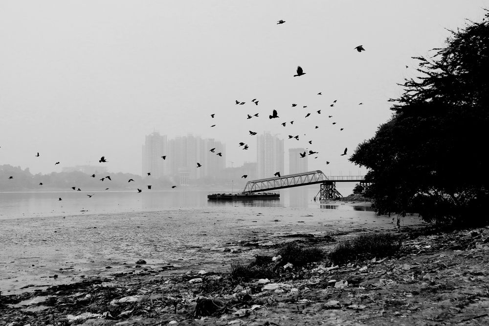 Фотография автора pradip kumar paswan