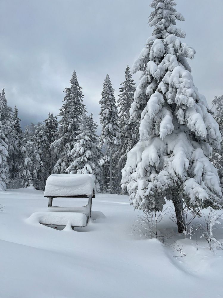 Photograph by Екатерина Усольцева