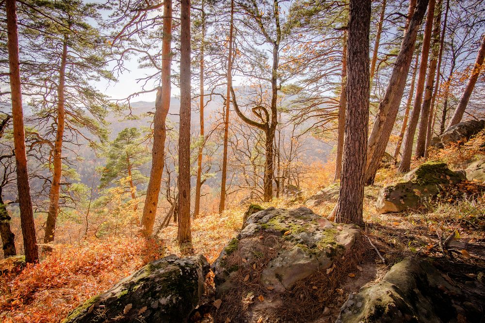 Фотография автора Вадим Коваленко