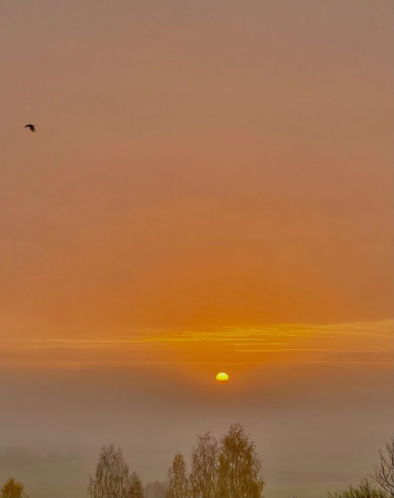 Фотография автора Таша Воскресная