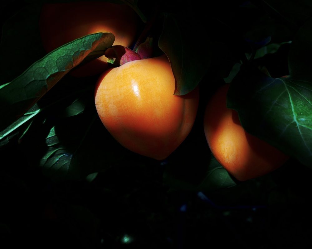 Photograph by Marina Odintsova