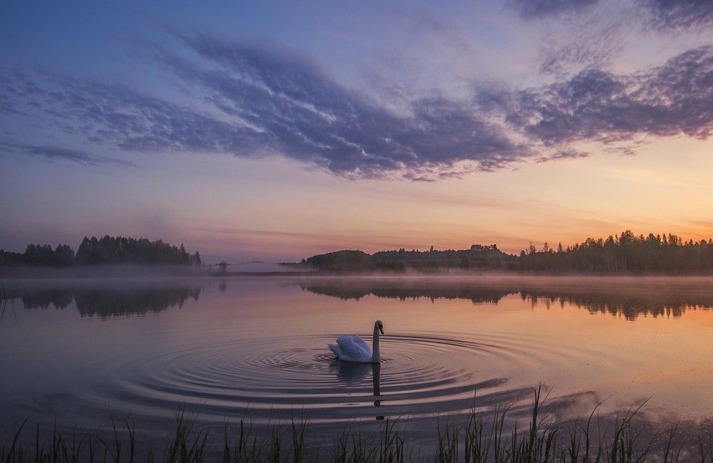 Photograph by Юрий Яковлев