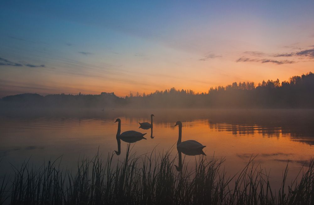 Photograph by Юрий Яковлев