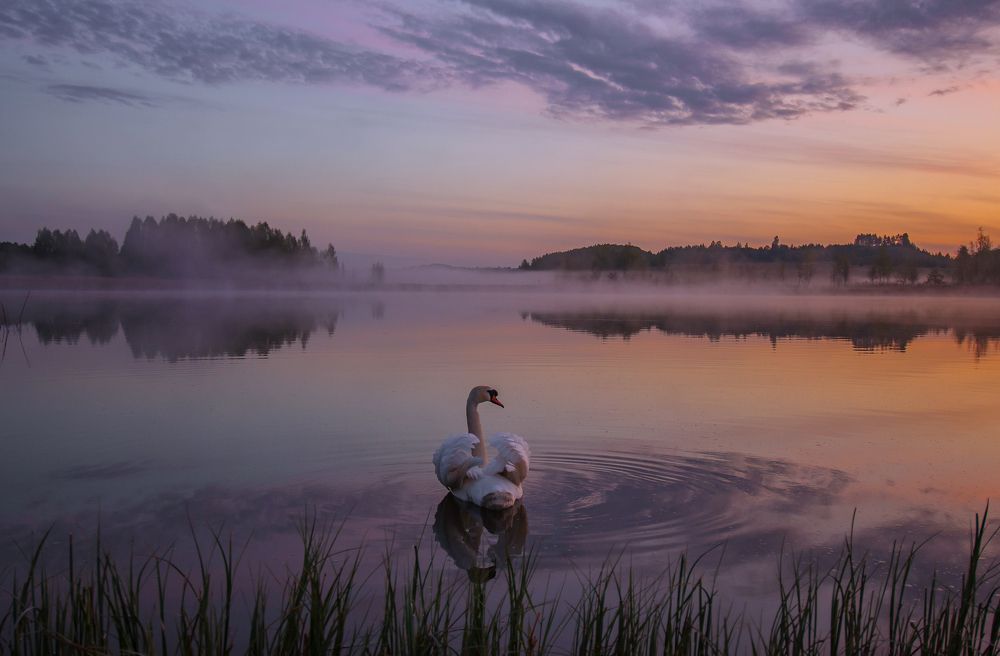 Photograph by Юрий Яковлев