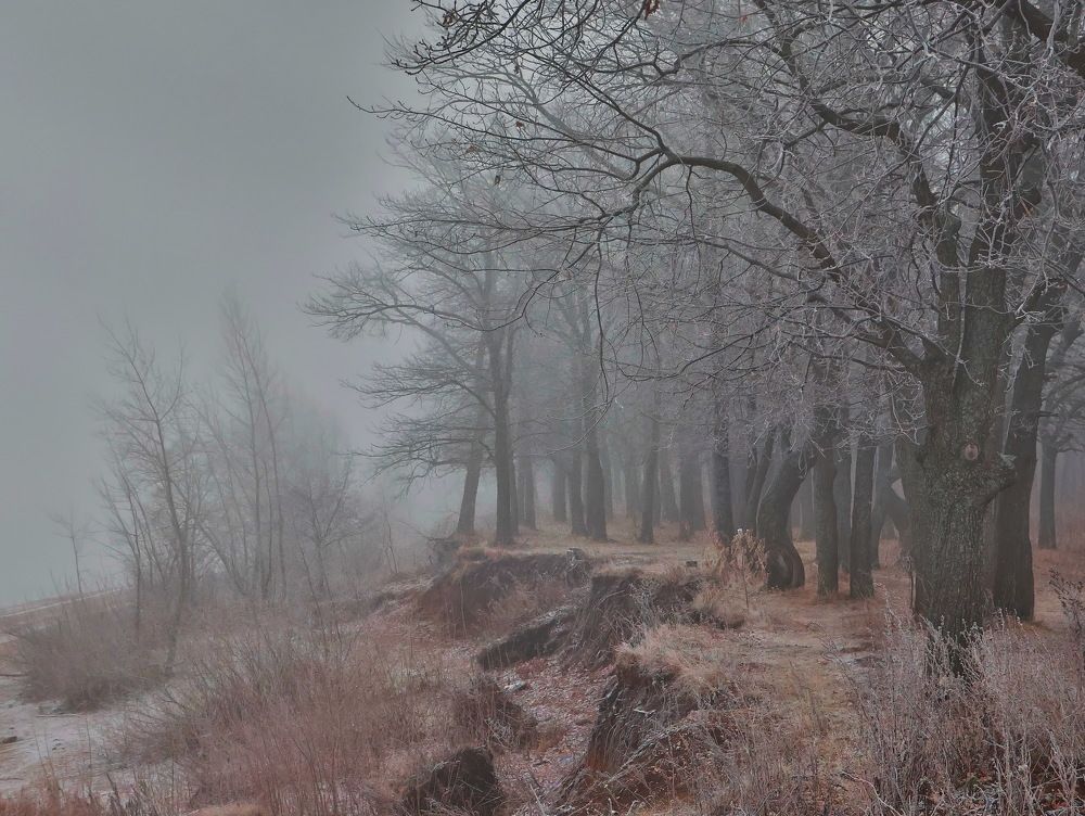 Photograph by Серёга Ануфриев