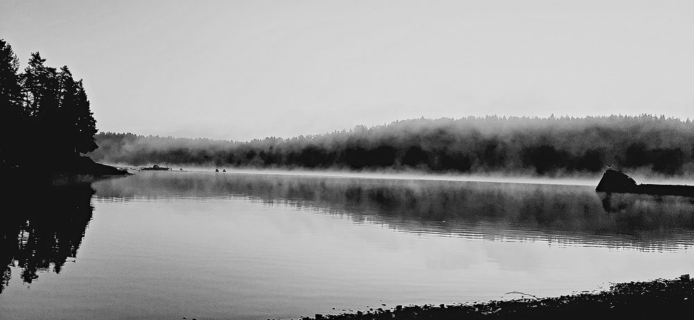 Photograph by Галина Перепечаева