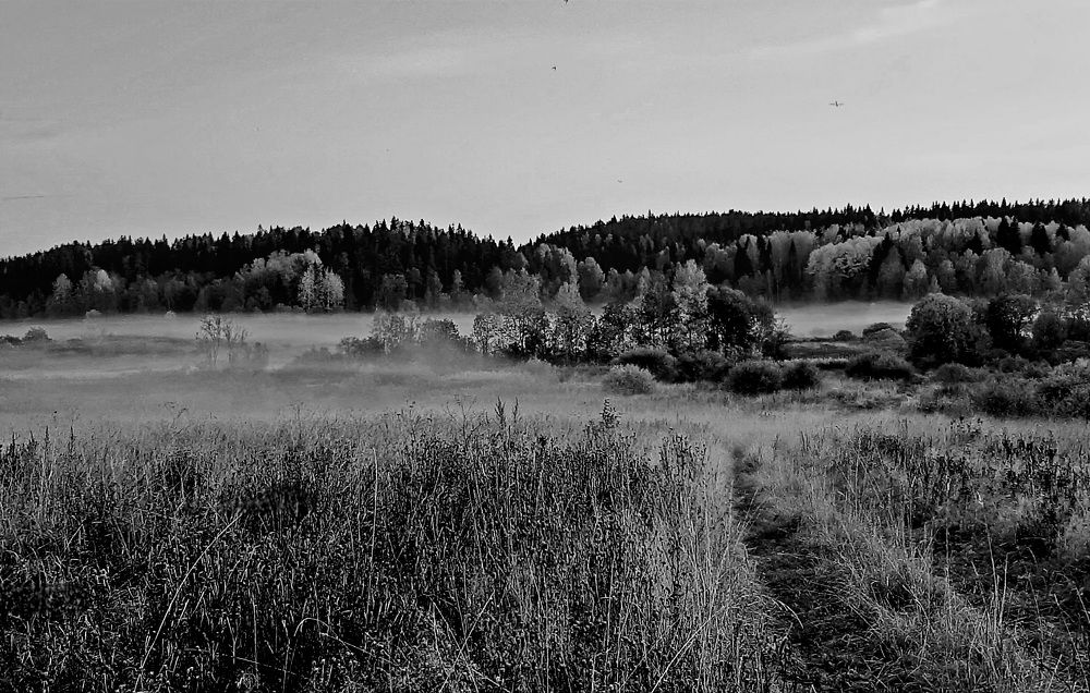 Photograph by Галина Перепечаева
