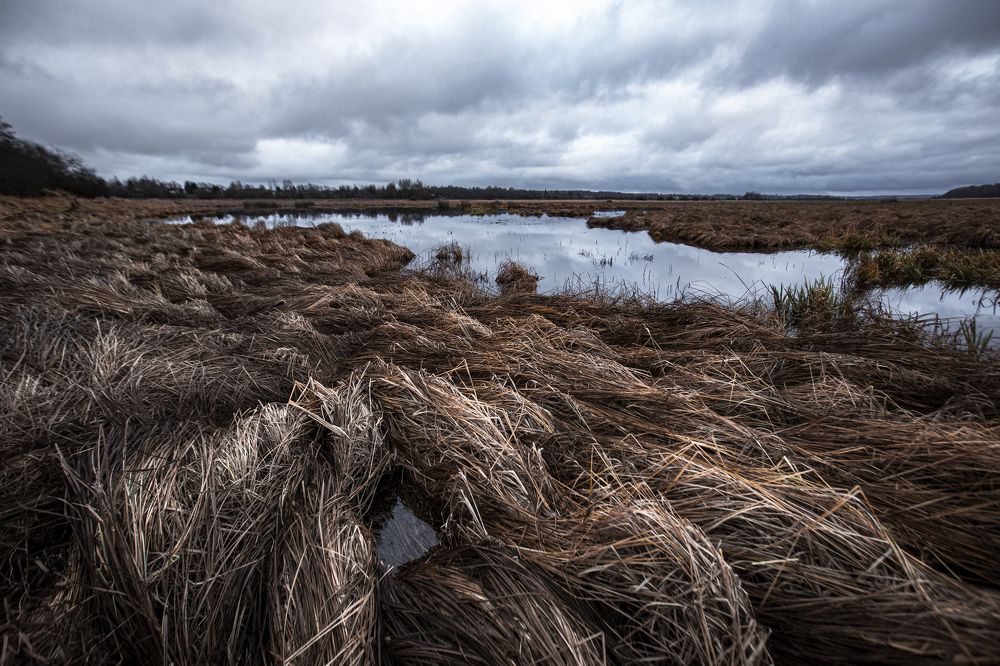 Фотография автора Логвинович Андрей