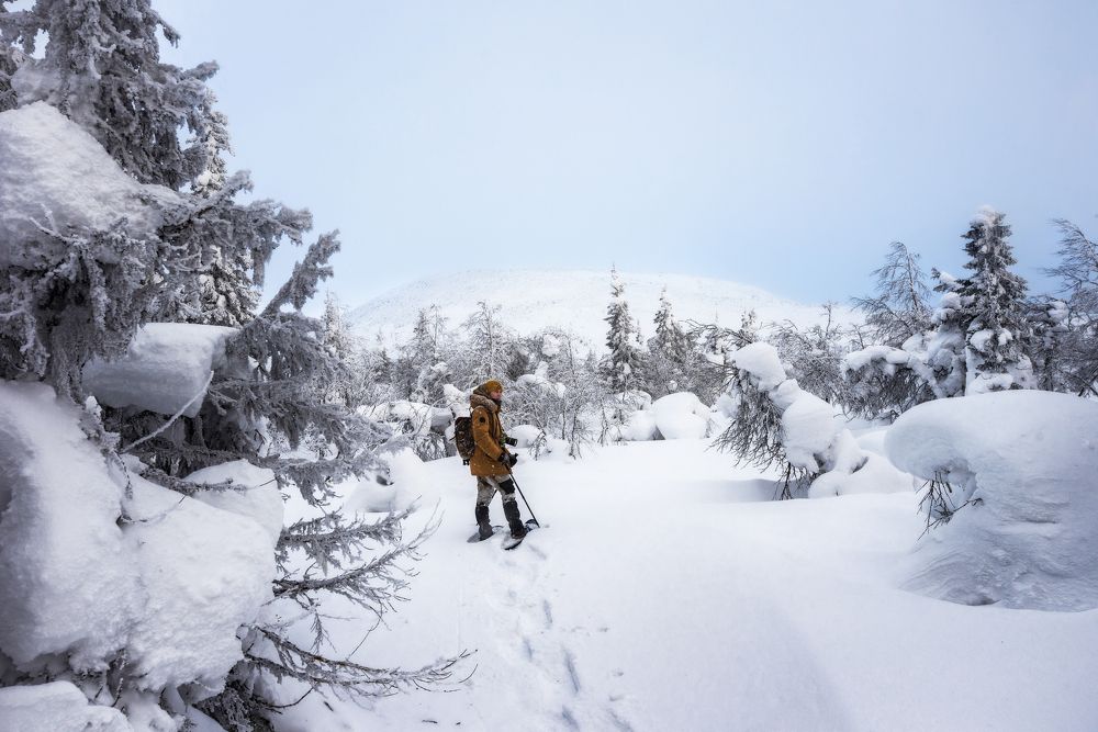 Photograph by Соколова Елена