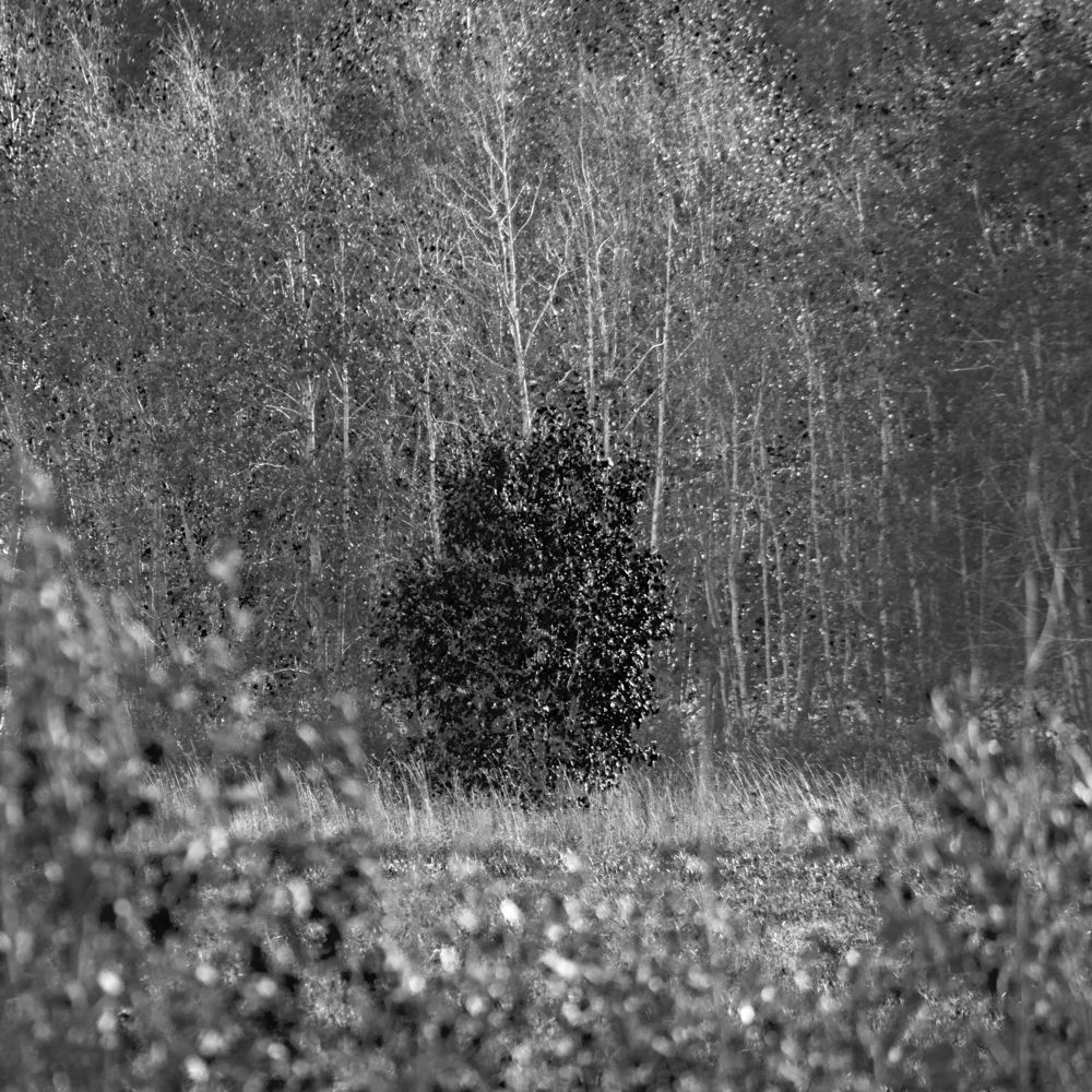 Фотография автора Логвинович Андрей