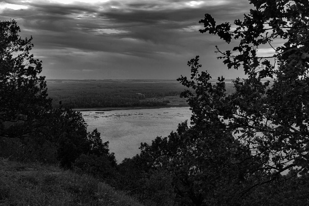 Photograph by Дарья Улюсова