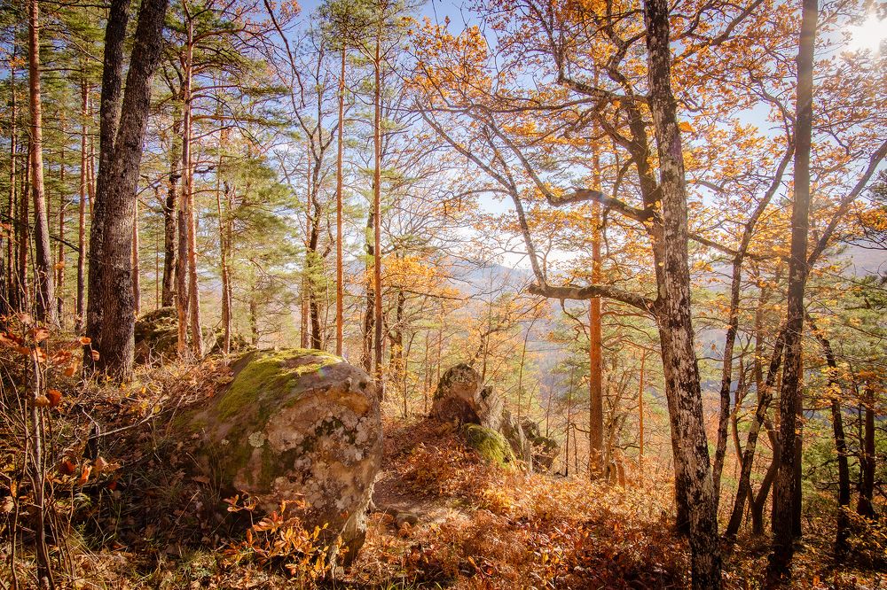 Фотография автора Вадим Коваленко