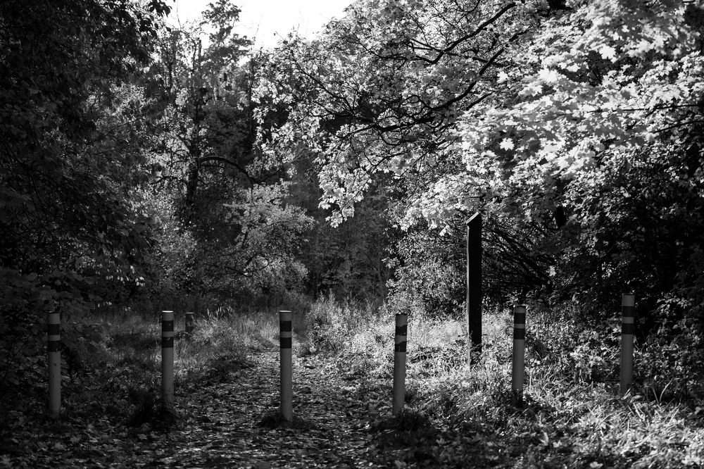 Фотография автора Логвинович Андрей