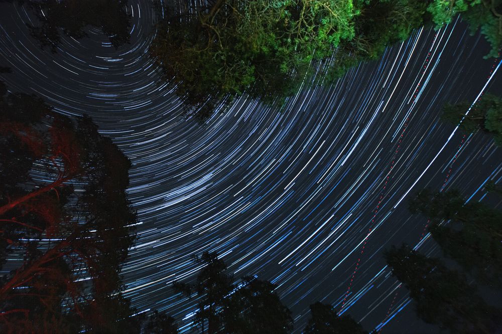 Фотография автора Логвинович Андрей