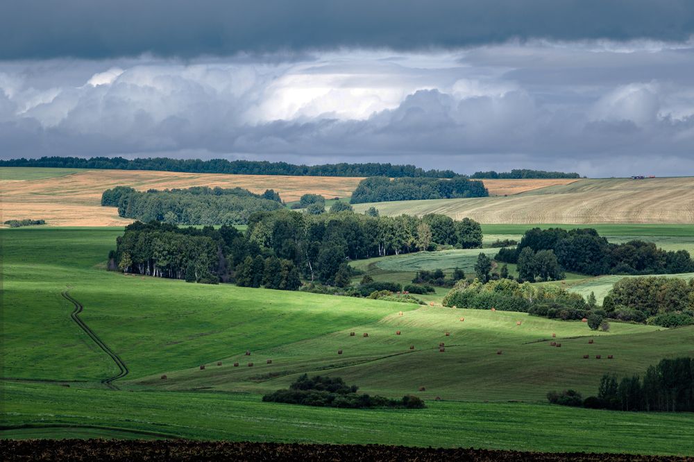 Фотография автора Логвинович Андрей