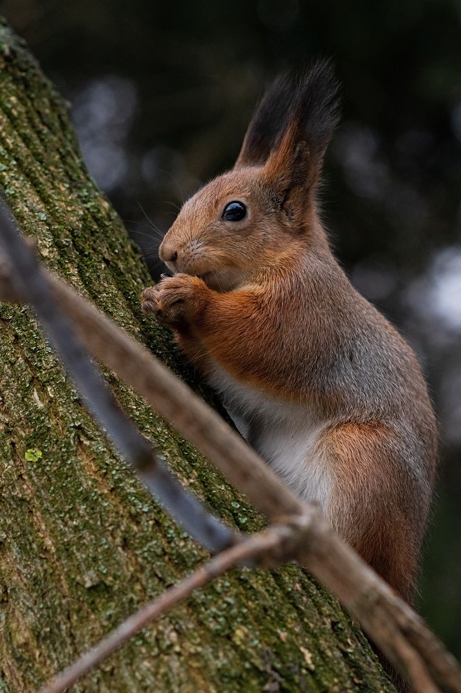 Photograph by Роман Гуров